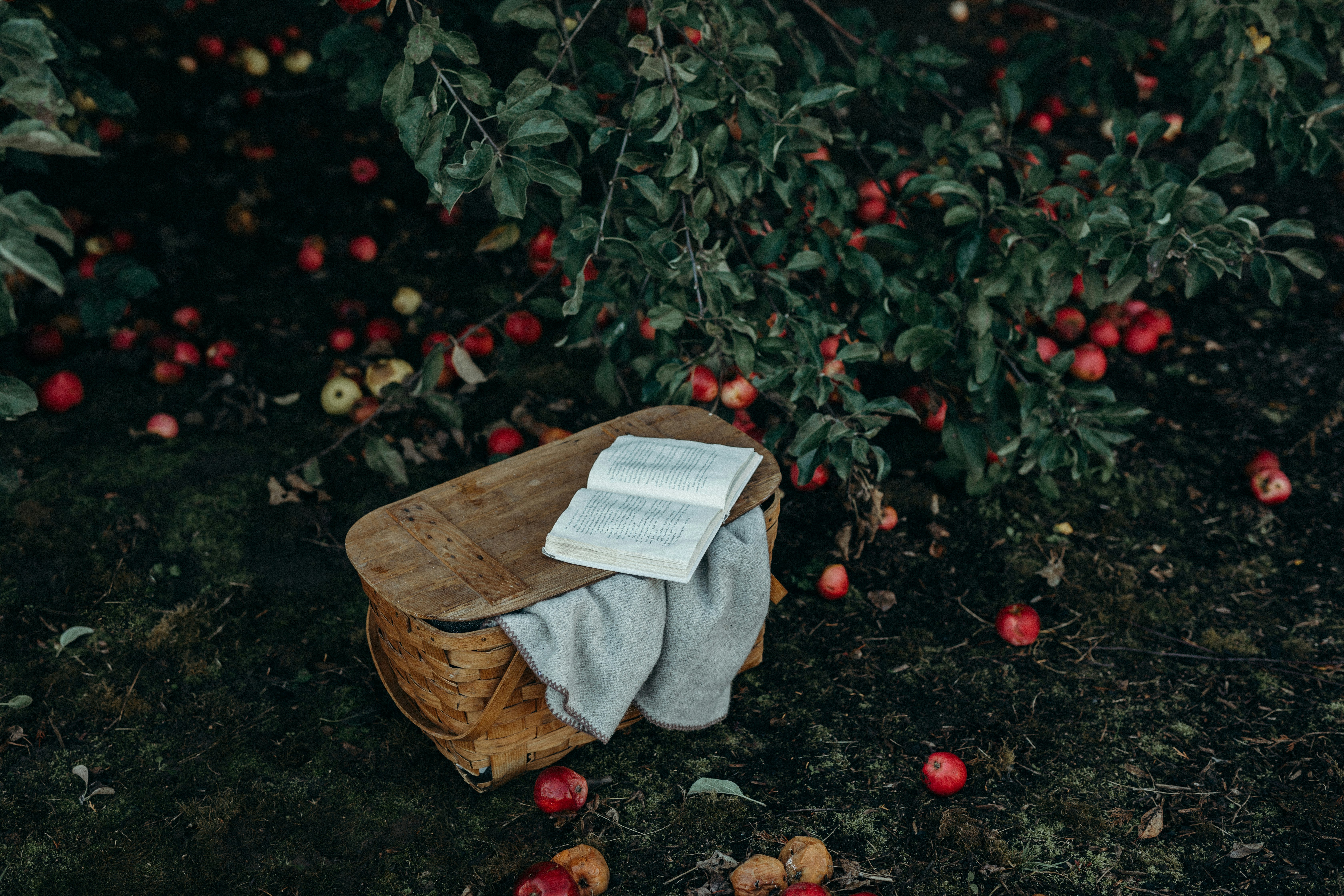 gray textile on brown wicker basket with book on top